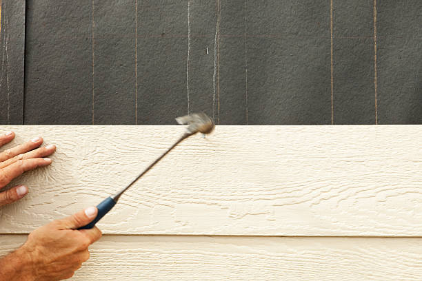 Best Siding Painting and Refinishing  in Bayard, NE